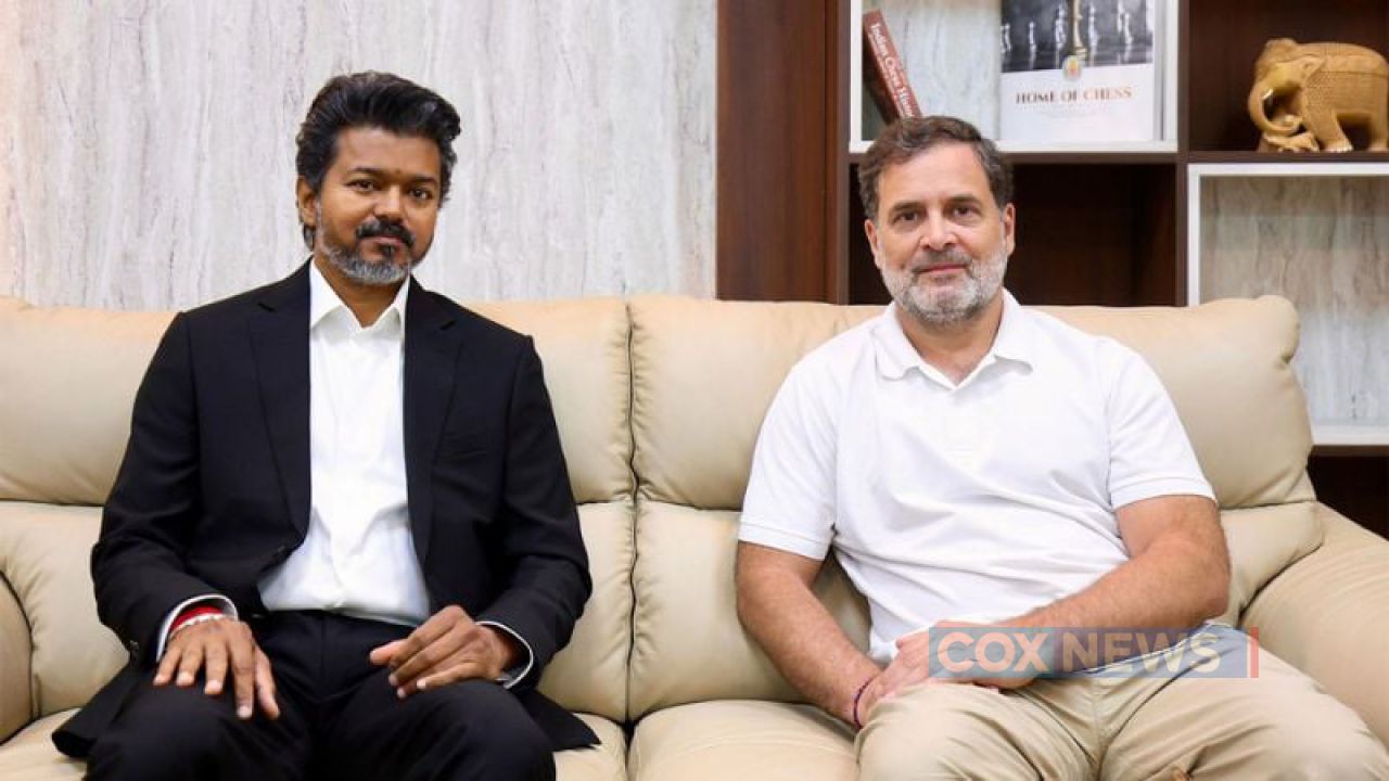 এবার রাহুলের পক্ষে সরব বিজয়ের টিভিকে