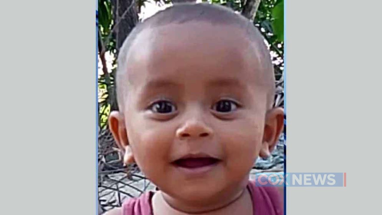 পানিতে ডুবে শিশুর মৃত্যু, বাঁচাতে গিয়ে বড় ভাই মৃত্যুশয্যায়