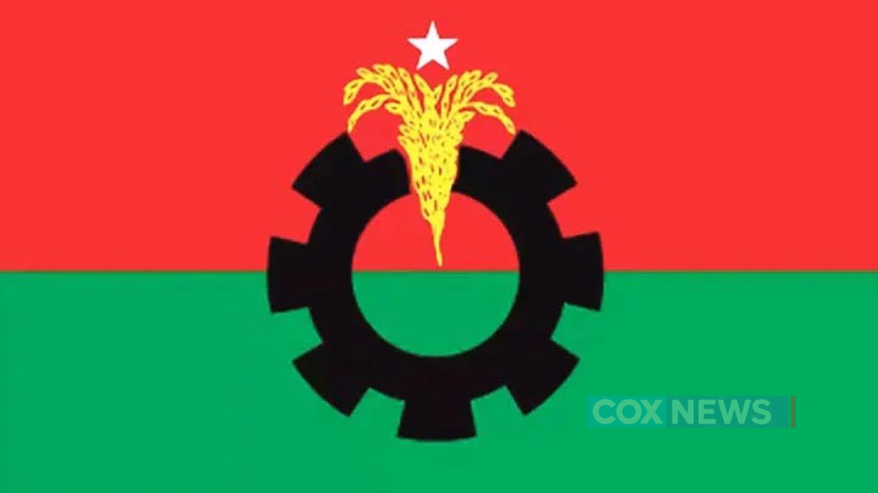 নির্বাচনে বিদ্রোহী প্রার্থী: বিএনপিতে ফিরতে চান বহিষ্কৃতরা, দলে ভিন্নমত