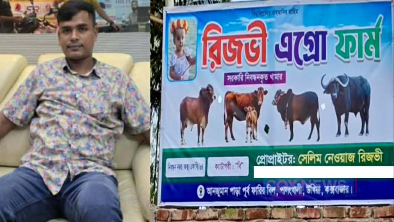 সহজেই মিলছে সরকারি লাইসেন্স। রিজভির গরুর খামারে সাদা হচ্ছে ইয়াবার কালো টাকা