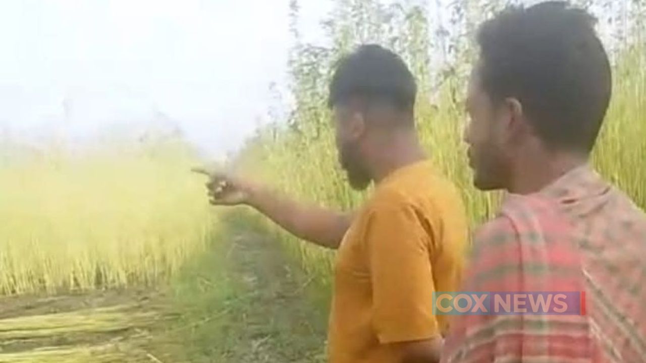 হত্যা মামলার আতঙ্কে পুরুষশূন্য গ্রাম, সেই সুযোগে পাট কাটায় বাধা ও প্রবাসীর স্ত্রীকে মারধরের অভিযোগ