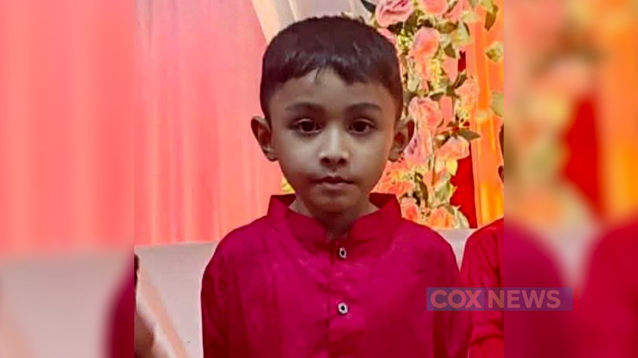 ভিমরুলের কামড়ে শিশুর মৃত্যু