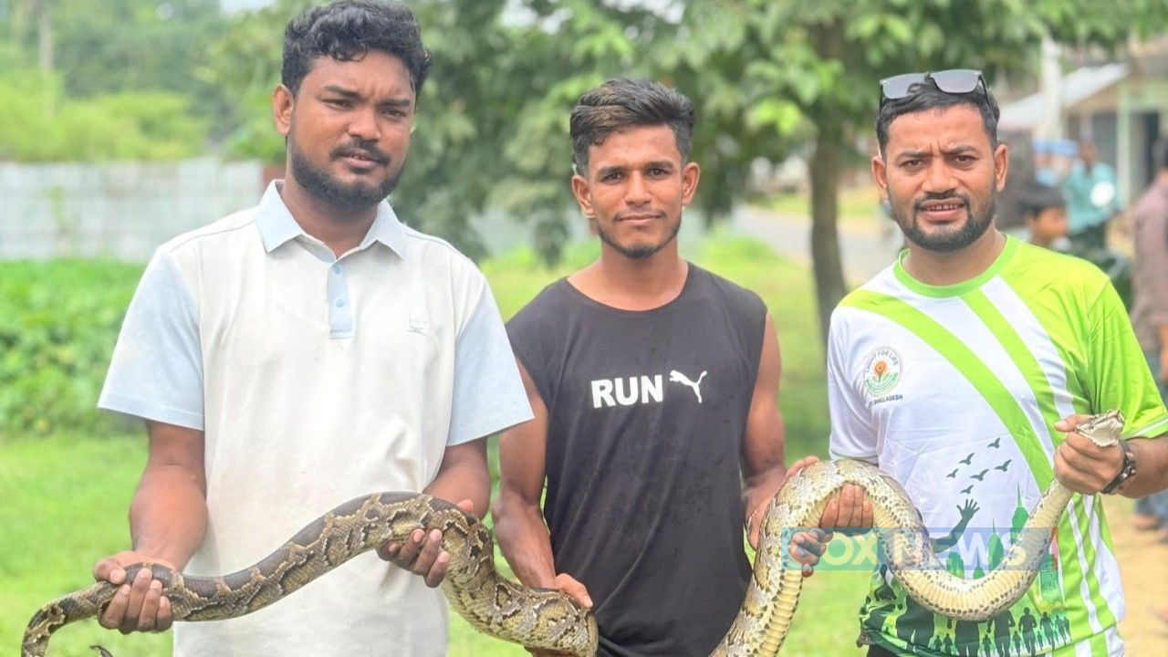 জালে আটকা অজগর উদ্ধার করে বনবিভাগে দিলেন যুবক
